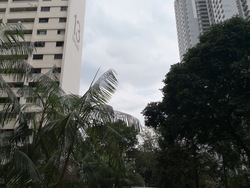 Blk 13 Holland Drive (Queenstown), HDB 4 Rooms #180937142